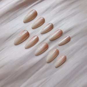 Creamy Ragdoll - Image 2
